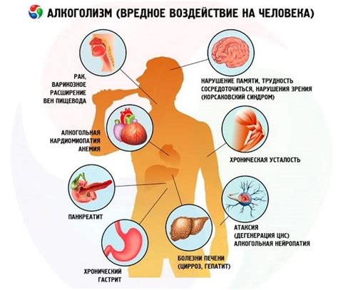 Витаминное недостаточество и его воздействие на регуляцию тепла в организме