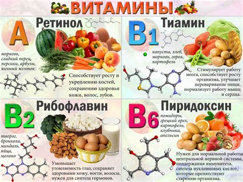 Витамины и минералы, присутствующие в красной рыбе, и их ценность для организма