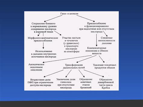 Влияние внешних факторов на процесс синтеза РНК