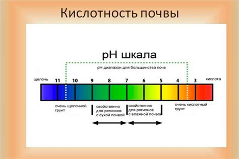 Влияние воды на кислотность почвы и ее регулирование