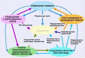 Влияние гистологии на онкологию