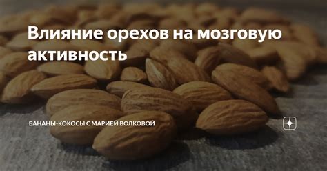 Влияние грецких орехов на мозговую активность и противодействие нейродегенеративным заболеваниям