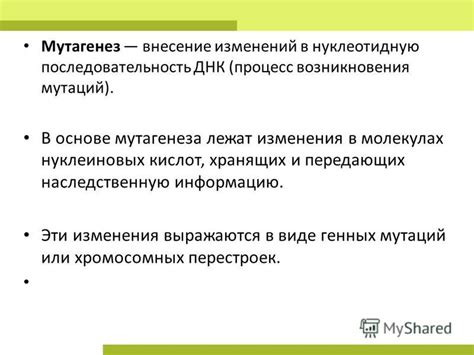 Влияние изменений и мутаций на процесс наследования