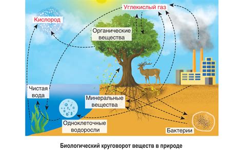 Влияние ключевых факторов на потоки в природном ходе воды