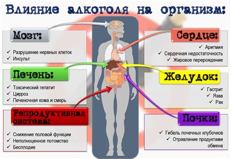 Влияние кокковой флоры на организм: причины и последствия