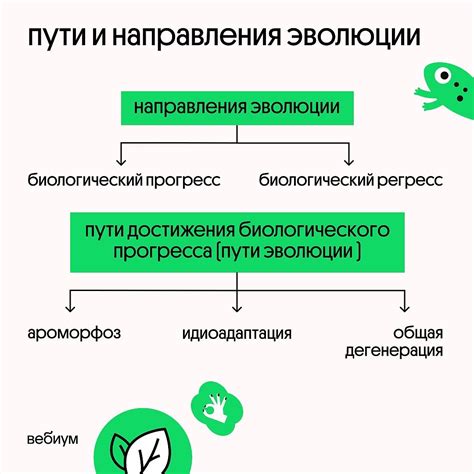 Влияние культурных факторов на формирование пути человеческой эволюции