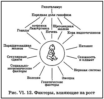 Влияние наследственных факторов на возникновение облысения