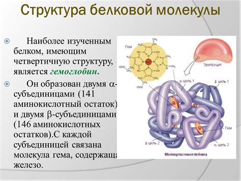 Влияние насыщенных и несахаридных кислот на структуру жировой молекулы