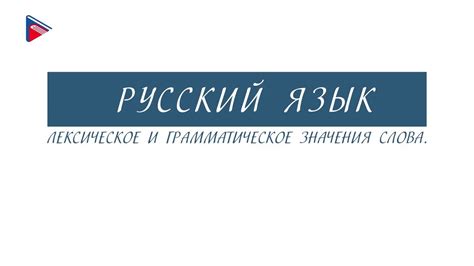 Влияние национальной идентичности на лексическое и грамматическое воплощение перевода