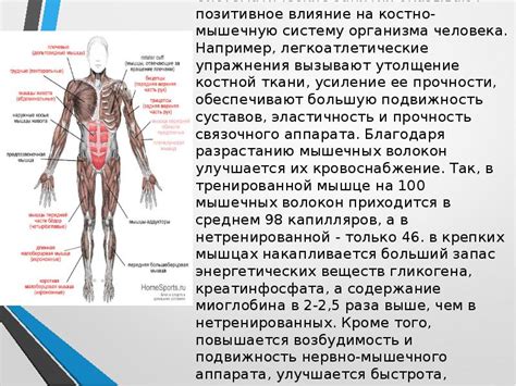 Влияние на костно-мышечную систему