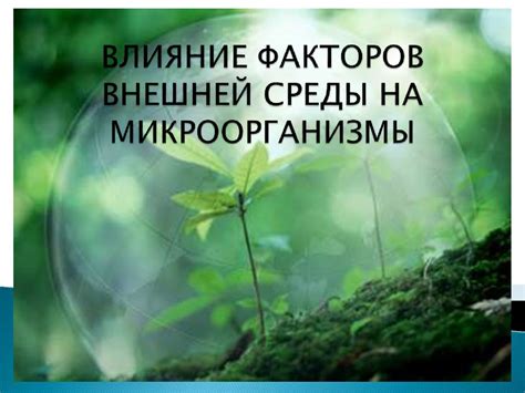 Влияние окружающей среды на формирование индивидуальности у микроорганизмов