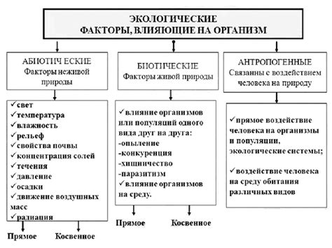 Влияние окружающей среды на формирование пигментации кожи