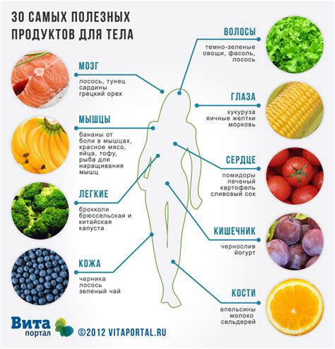 Влияние питания и поддержание баланса витаминов на состояние нижней губы