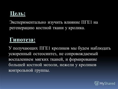 Влияние питательных веществ на регенерацию тканей и мышц