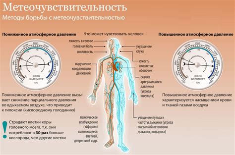 Влияние повышенного уровня глюкозы на состояние организма