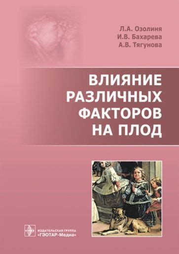 Влияние различных факторов на движение тел внутри атмосферы