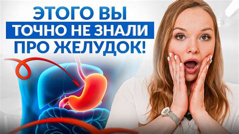 Влияние рациона на спазмы в желудке: ключевые факторы, о которых стоит помнить