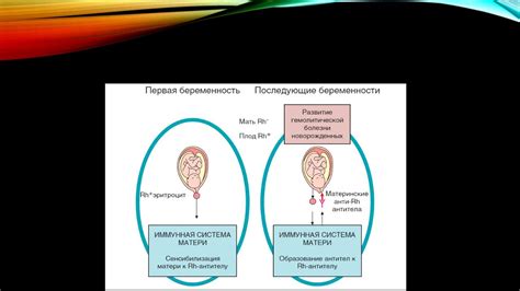 Влияние резус-конфликта на развитие плода