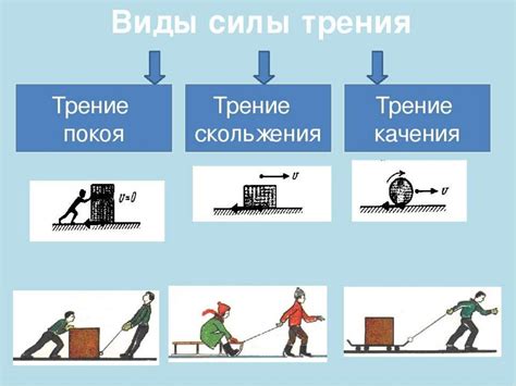 Влияние сил трения на равновесие тел: проявления и последствия