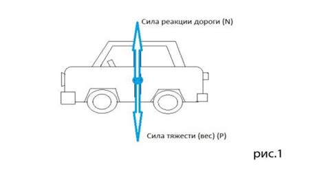 Влияние сил тяжести на разнообразие способов движения