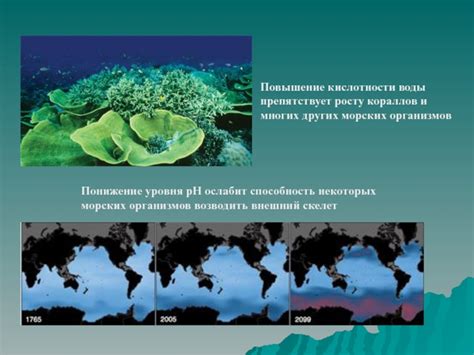 Влияние уровня кислотности окружающей среды на растворимость белков