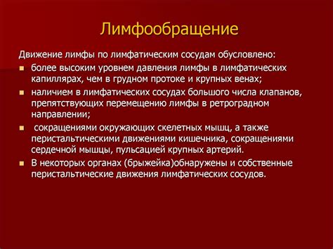 Внешние черты и принципы функционирования