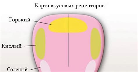 Внутренние факторы, влияющие на ощущение зуда в кончике языка