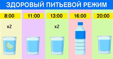 Вода – основа здоровья: как поддерживать питьевой режим в офисной среде