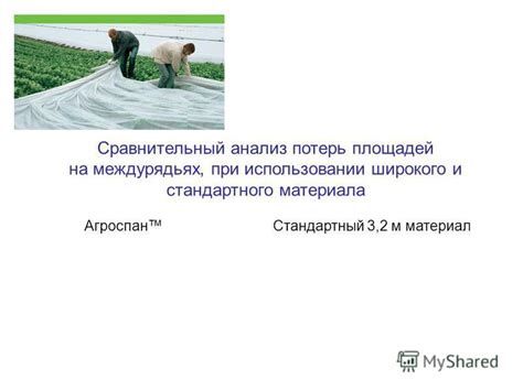 Воздействие на растение при использовании стандартного грунта: анализ факторов и следствия