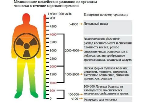 Воздействие радиации на организм и возможные последствия