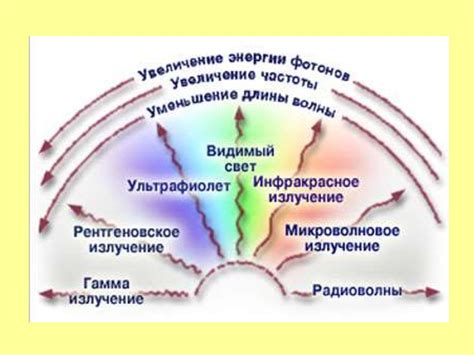 Воздействие солнечного света и свежего воздуха на организм