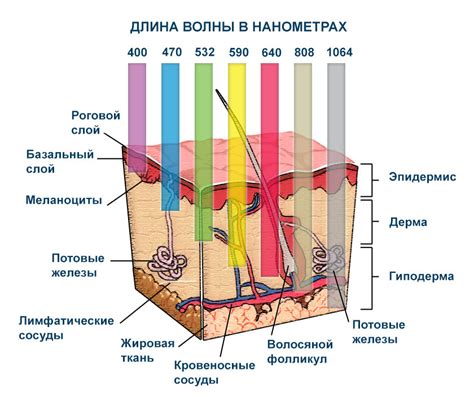 Воздействие теплого пара на кожу и волосы