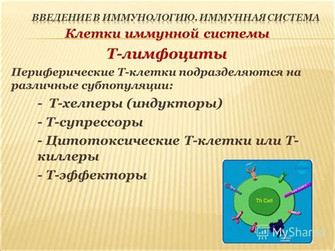 Воздействие токсической субстанции на различные системы организма