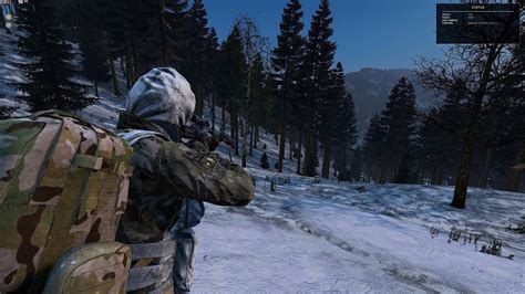 Возможности группы в DayZ FWD: совместное выживание и сотрудничество