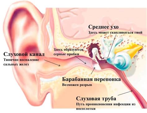 Возможные методы борьбы с покраснением левого уха