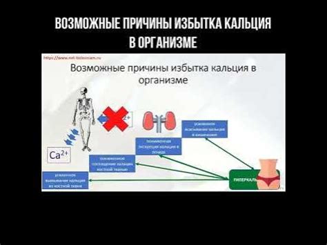 Возможные негативные последствия низкого содержания кальция в организме