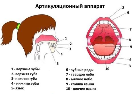 Возможные осложнения и последствия недостаточной подвижности голосового аппарата