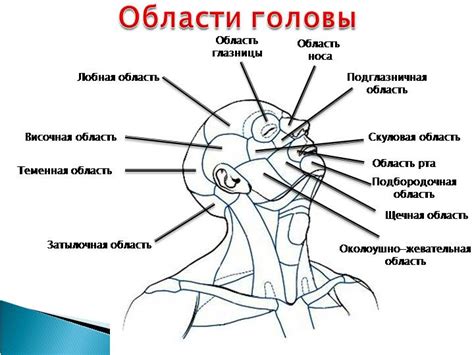 Возникновение ощущения особого движения в области головы: факторы, вызывающие данное состояние