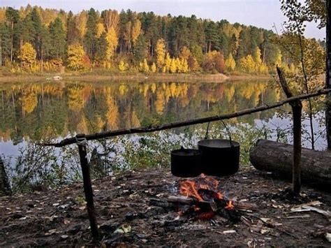 Встреча с тишиной в напряженном мире: уединение в оазисе спокойствия