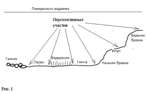 Выбор места для ловли: определение наиболее часто посещаемых маршрутов