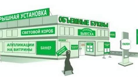 Выбор места для размещения растения