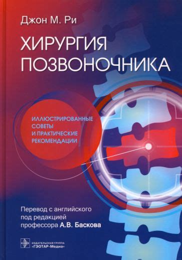 Выбор оптимального основного сетевого сегмента: советы и практические рекомендации