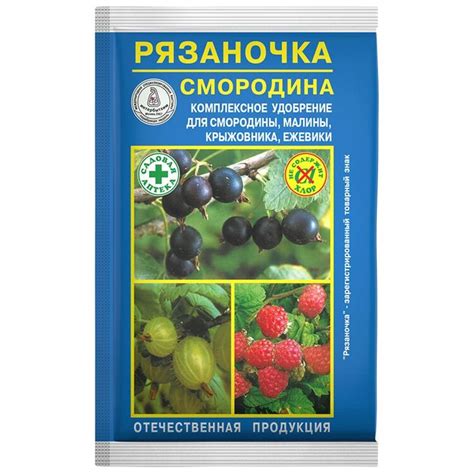 Выбор подходящего удобрения для крыжовника и смородины