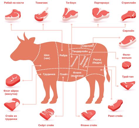 Выбор правильной части мяса для приготовления нежного говядины