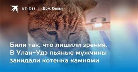 Выбор прелестнейшего котенка для мужчины истинного