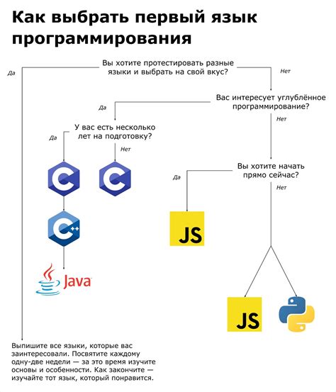 Выбор языка программирования для изучения: полезные советы