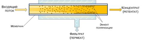 Выгоды использования продукта фракционирования сырья в качестве энергетического ресурса