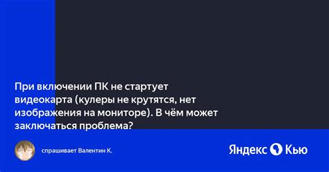 В чем может заключаться предупреждение в снах о кусающих собаках