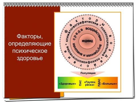 Генетическая уникальность каждого индивида: факторы, определяющие индивидуальность