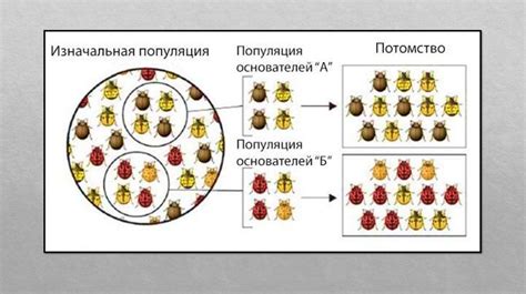 Генетическое разнообразие в ежах: источники вариабельности признаков